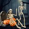 2 pcs 3 ft Life Size Human Skeleton with Full Body Posable Joints